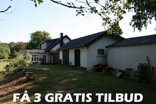 3 træfældning tilbud: Sammenlign på 1-2 arbejdsdage de bedste tilbud