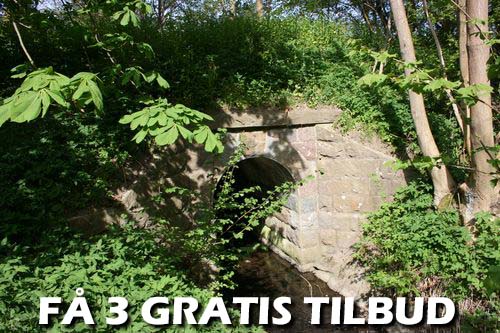 3 tilbud: Find de skarpeste gartnertilbud på markedet