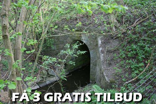 Du kan modtage 2-3 gratis tilbud uden beregning med 3 trafald tilbud