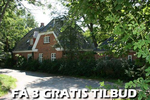 Gratis træfældningtilbud: Vi anstrenger os for dig Gratis træfældningtilbud: Tag en klog beslutning og modtag 2-3 tilbud
