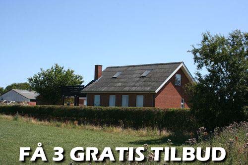 3 træfældning tilbud: Find lynhurtigt en velegnet træfælder i Esbjerg kommune