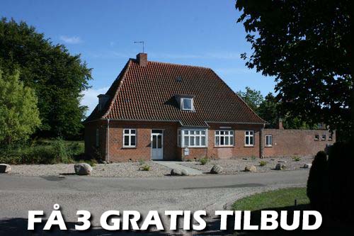 Gratis tilbud: Tillykke! Du er landet det helt rigtige sted