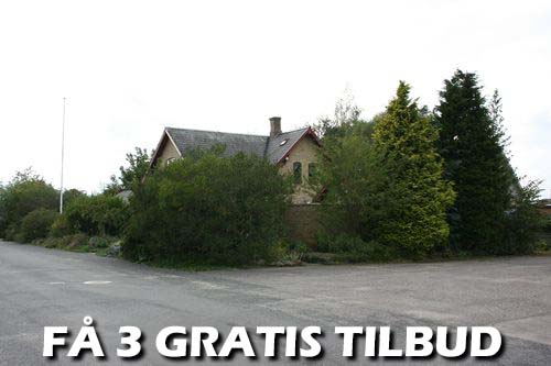 Gratis 3 tilbud - find dem på 26 timer med 3 trafald tilbud