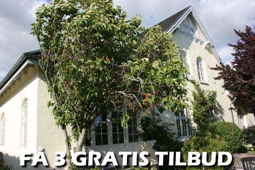 3 tilbud: Du får en favorabel rabat på et gartnerfirma i Rudkøbing