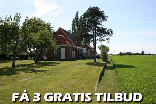 Gratis tilbud: Du kan rekvirere de billigste gartnertilbud