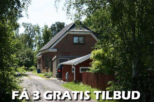 3 tilbud: I Nyborg kan du bestille service ved moderne anlægsgartnere