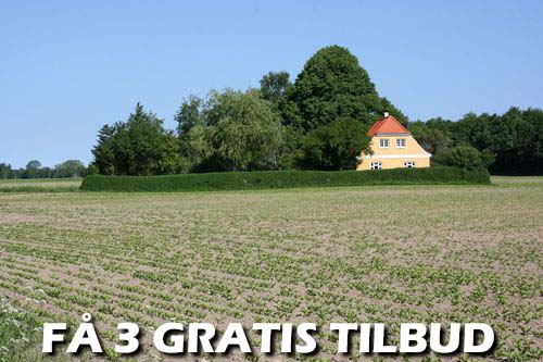 Find lynhurtigt 3 tilbud fra omhyggelige firmaer med 3 trafald tilbud