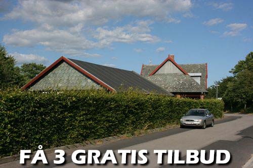 3 tilbud: Tillykke! Du har fundet det rigtige sted